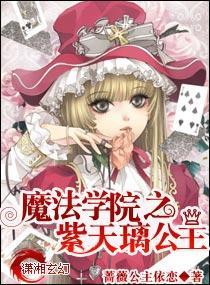 魔法学院之紫天璃公主封面