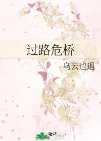 过路危桥封面