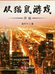 从猫鼠游戏开始封面