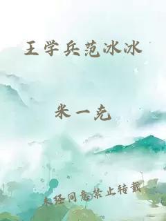 王学兵范冰冰封面