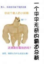 一个平平无奇的霸道总裁封面