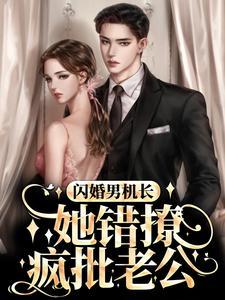 闪婚男机长，她错撩疯批老公封面