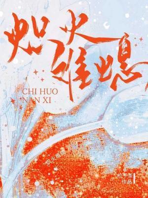炽火难熄封面