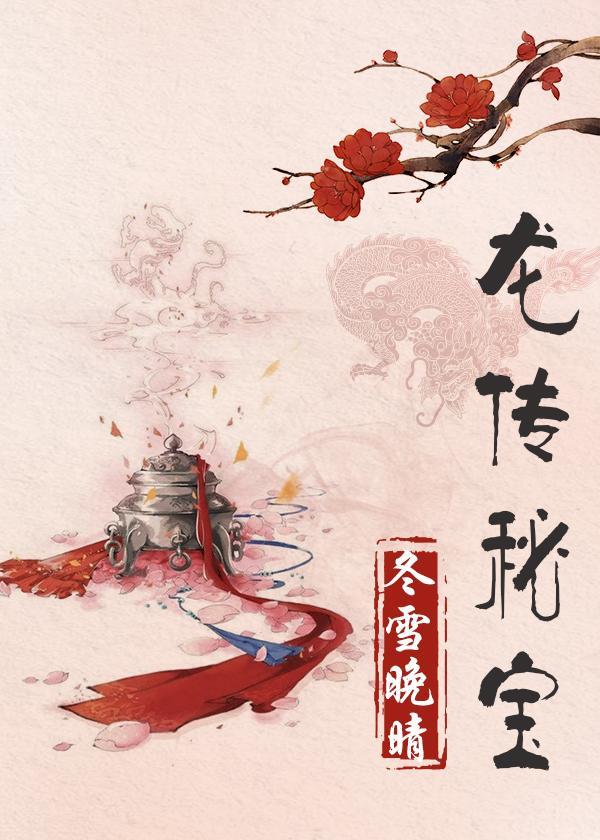 龙传秘宝封面