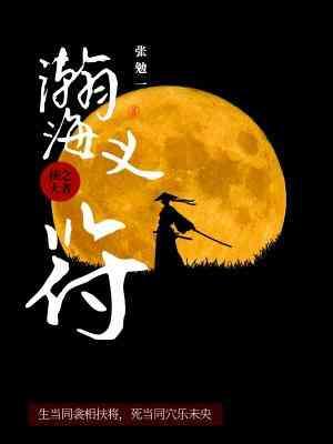 瀚海义符封面