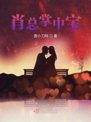 肖总掌中宝封面