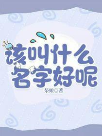 该叫什么名字好呢封面