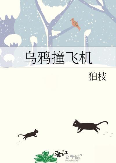 乌鸦撞飞机封面