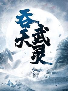 吞天武灵封面