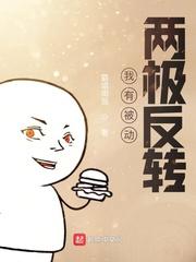 我有被动：两极反转封面