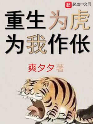 重生为虎，为我作伥！封面