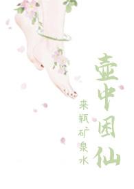 壶中困仙封面