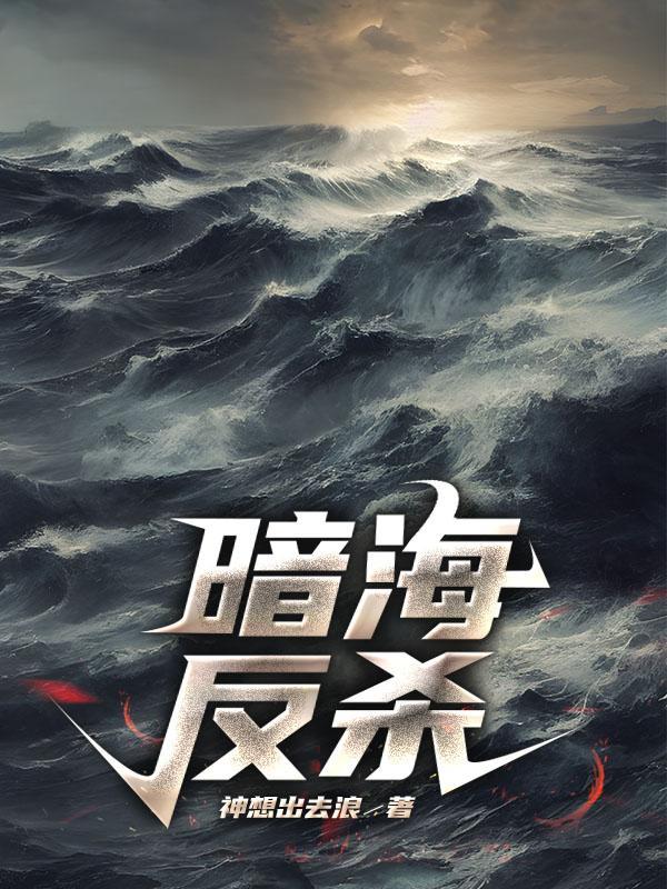 暗海反杀封面
