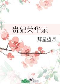 贵妃荣华录封面