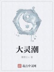 大灵潮封面