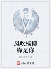 风吹杨柳缘是你封面