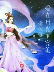 邀明月，爱在月光下完美封面