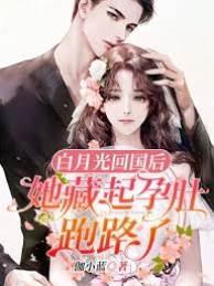 白月光回国后，她藏起孕肚跑路了封面