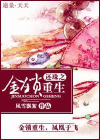 还珠之金锁重生封面