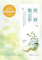 世界微尘里封面
