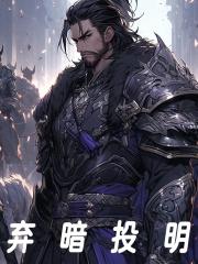 弃暗投明封面