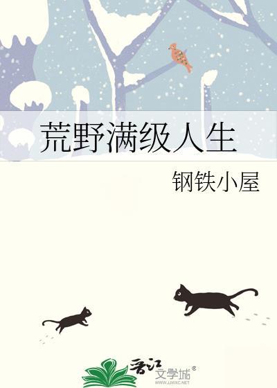 荒野满级人生封面