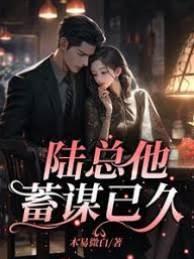 陆总他蓄谋已久封面