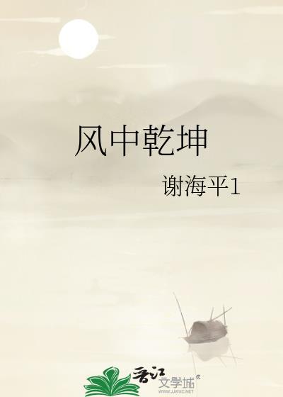 风中干坤封面