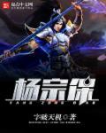 杨宗保封面