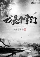 我是个掌门封面