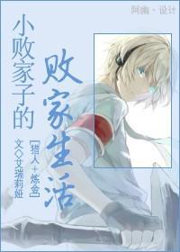 小败家子的败家生活封面