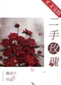 二手玫瑰封面