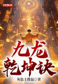 九龙乾坤诀封面