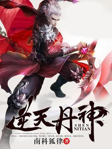 逆天丹神封面