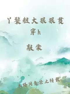 丫鬟粗大狠狠&#封面