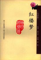 红楼梦（白话本）封面