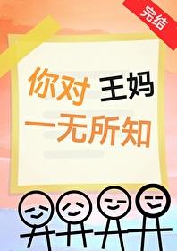你对王妈一无所知封面