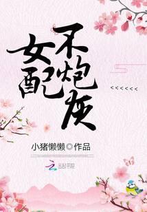女配不炮灰封面