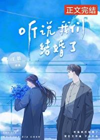 听说我们结婚了封面