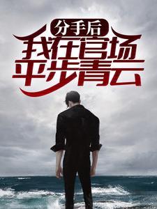 分手后，我在官场平步青云封面