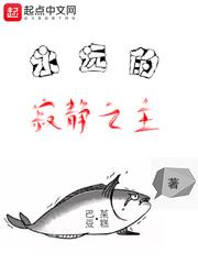 永远的寂静之主封面