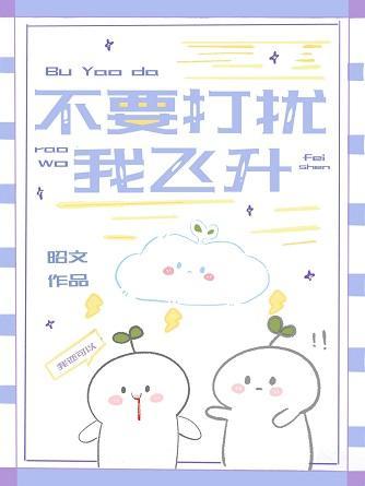 不要打扰我飞升封面
