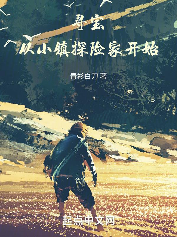寻宝：从小镇探险家开始封面