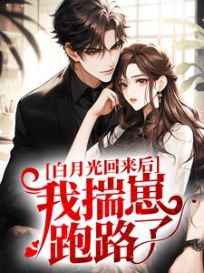 白月光回来后，我揣崽跑路了封面