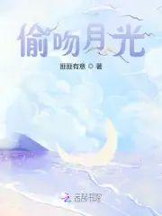 偷吻月光封面