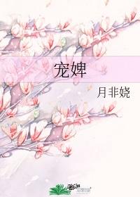 宠婢为妃封面