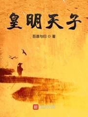 皇明天子封面