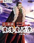 大海贼克洛克达尔封面