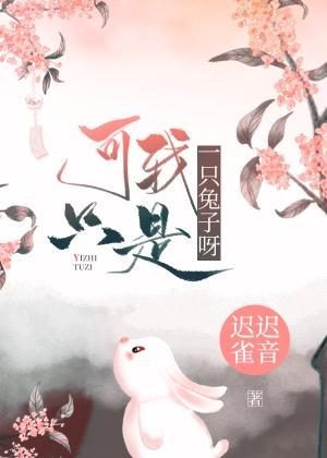 可我只是一只兔子呀封面