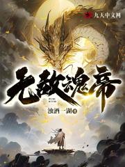 无敌魂帝封面